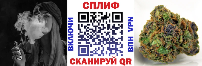 Купить закладку Псилоцибиновые грибы  MDMA  ГАШ  Cocaine  Alpha-PVP  АМФЕТАМИН  МЕФ  Дмитриев